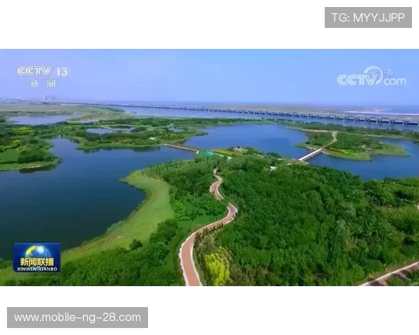 常州天山石化战队：勇攀高峰铸就辉煌，共同迈向未来的新征程